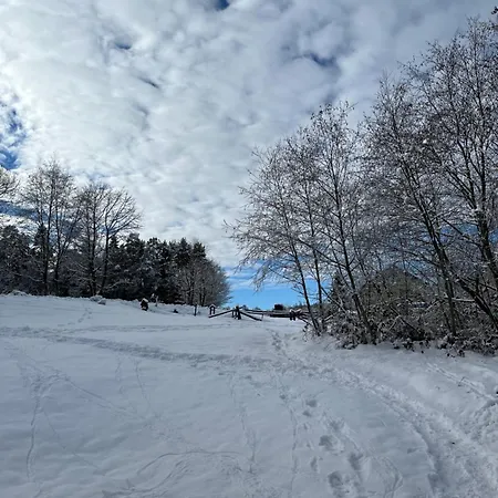 Na Granicy - Kurow * Kurow (Lesser Poland)